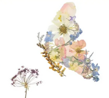 11/7/25 - Friday- 6pm - Pressed Flower Resin Animal Art