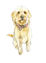 7/17/26 - Friday 6pm - Paint Your Pet! Watercolors Addition!