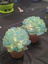 8/28/26 - Friday 6pm - Sea Glass Succulents