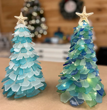 6/7/24 - Friday 6pm - Sea Glass Trees and Succulents