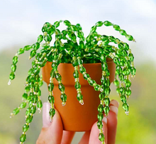 3/18/26 - Wednesday 6pm - Monthly Ladies Night Out!