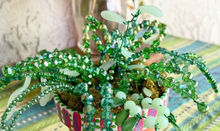 3/18/26 - Wednesday 6pm - Monthly Ladies Night Out!