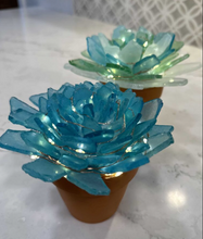 7/18/25 - Friday 6pm - Sea Glass Succulents