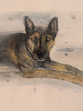 7/17/26 - Friday 6pm - Paint Your Pet! Watercolors Addition!