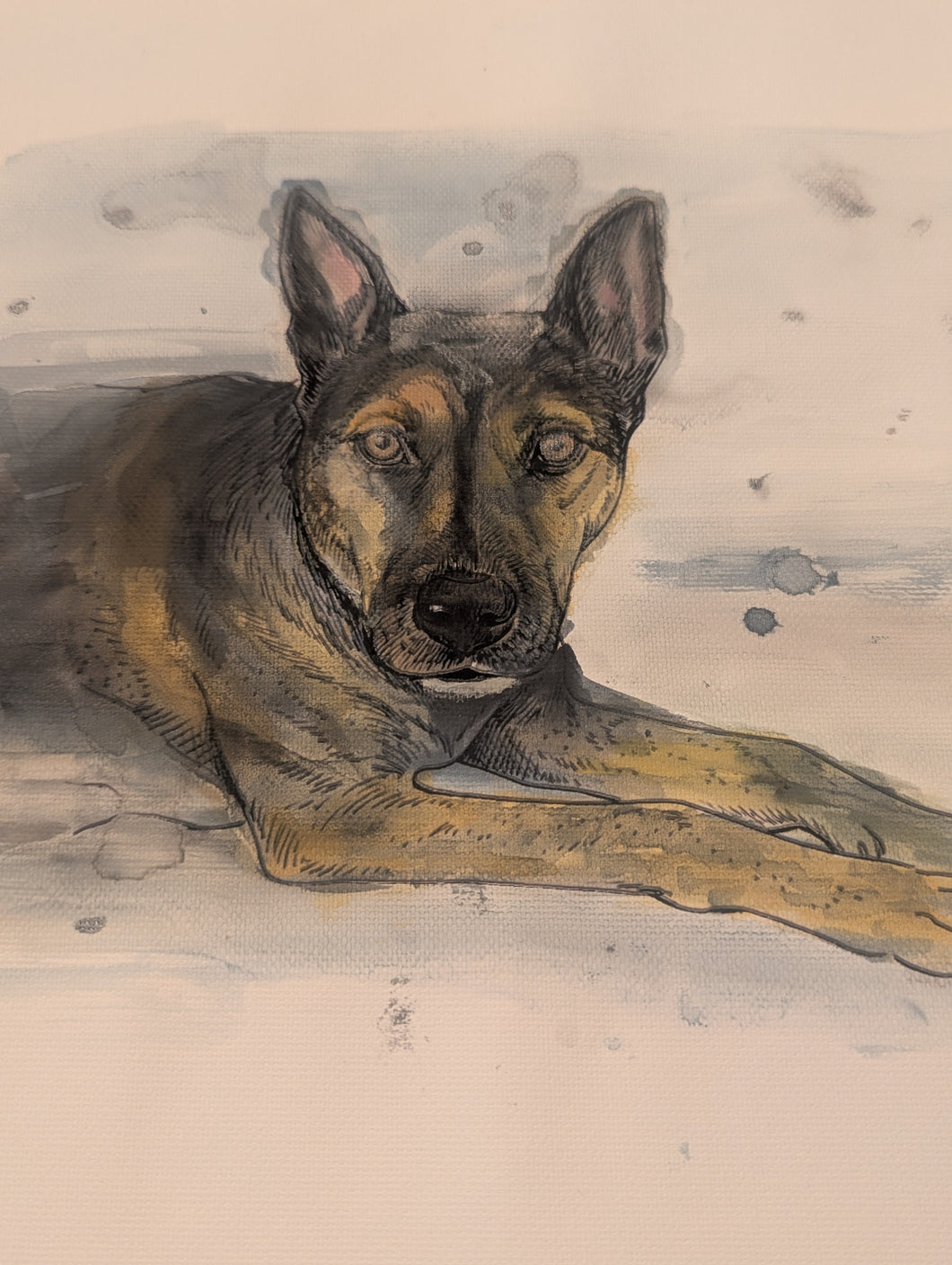 7/17/26 - Friday 6pm - Paint Your Pet! Watercolors Addition!